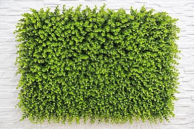 《黑道圣徒：重启版》口碑失望 开发商将被Gearbox收编